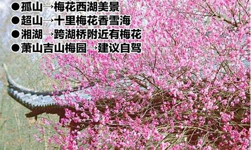 杭州春季旅游最佳去处,杭州春季旅游攻略路