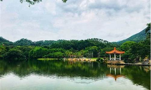 深圳仙湖植物园攻略路线推荐,深圳仙湖植物园旅游攻略