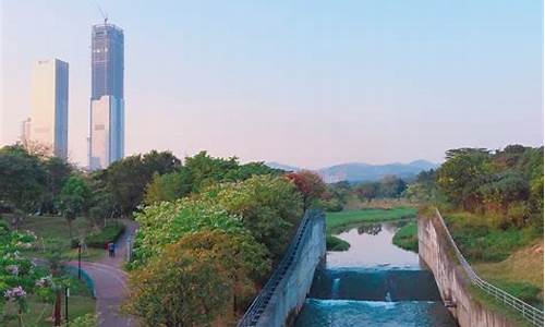 深圳中心公园垂钓,深圳中心公园可以野餐吗