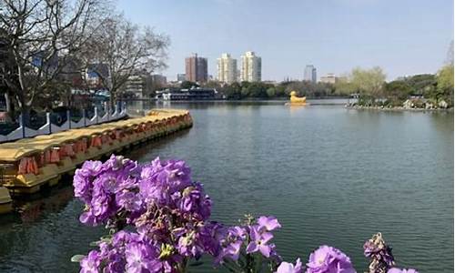 上海长风公园介绍,上海长风公园介绍资料