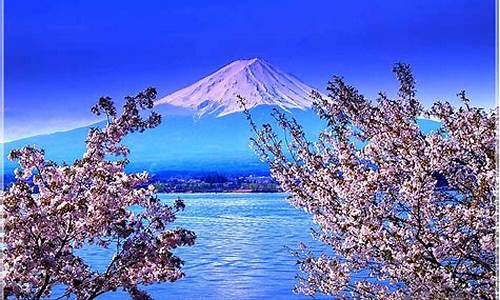 日本有名的旅游公司_日本旅游景点加盟