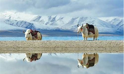 超详细的青藏线自驾游旅游攻略_青藏线旅游