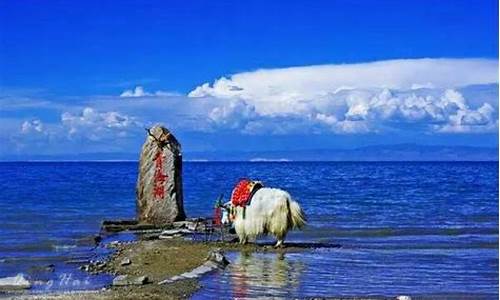 重庆青海自驾游最佳路线,重庆青海湖自驾游