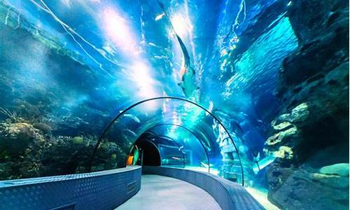 长风海洋公园和上海水族馆哪个好玩,长风公园海洋世界和上海海洋水族馆