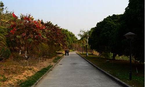 广州龙头山森林公园开放了吗今天,广州龙头山森林公园开放了吗